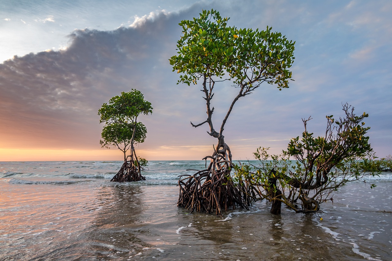 Climate Change's Role in Lowering Crop Nutrition